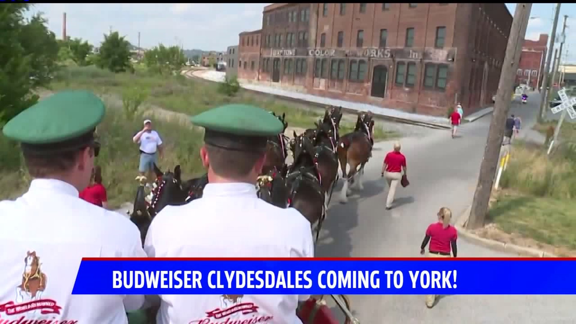 Budweiser Clysedales are Coming to York County!
