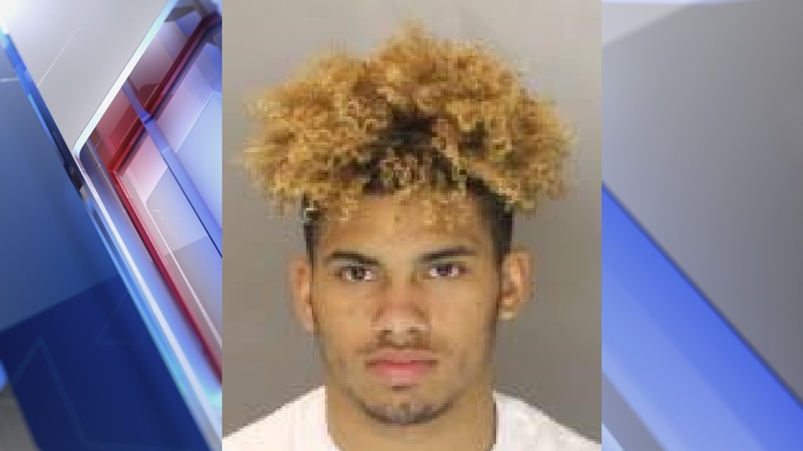 Harrisburg man to serve up to six years in state prison after pleading ...