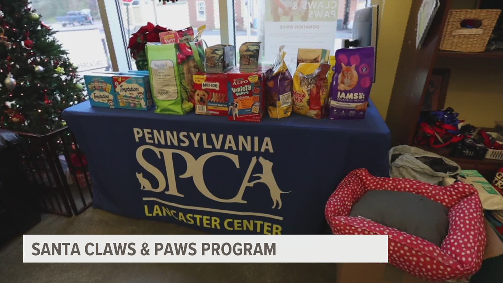During the holiday season, more people than ever are in need of pet supplies. PSPCA Lancaster Center is asking for donations to their holiday fundraiser.