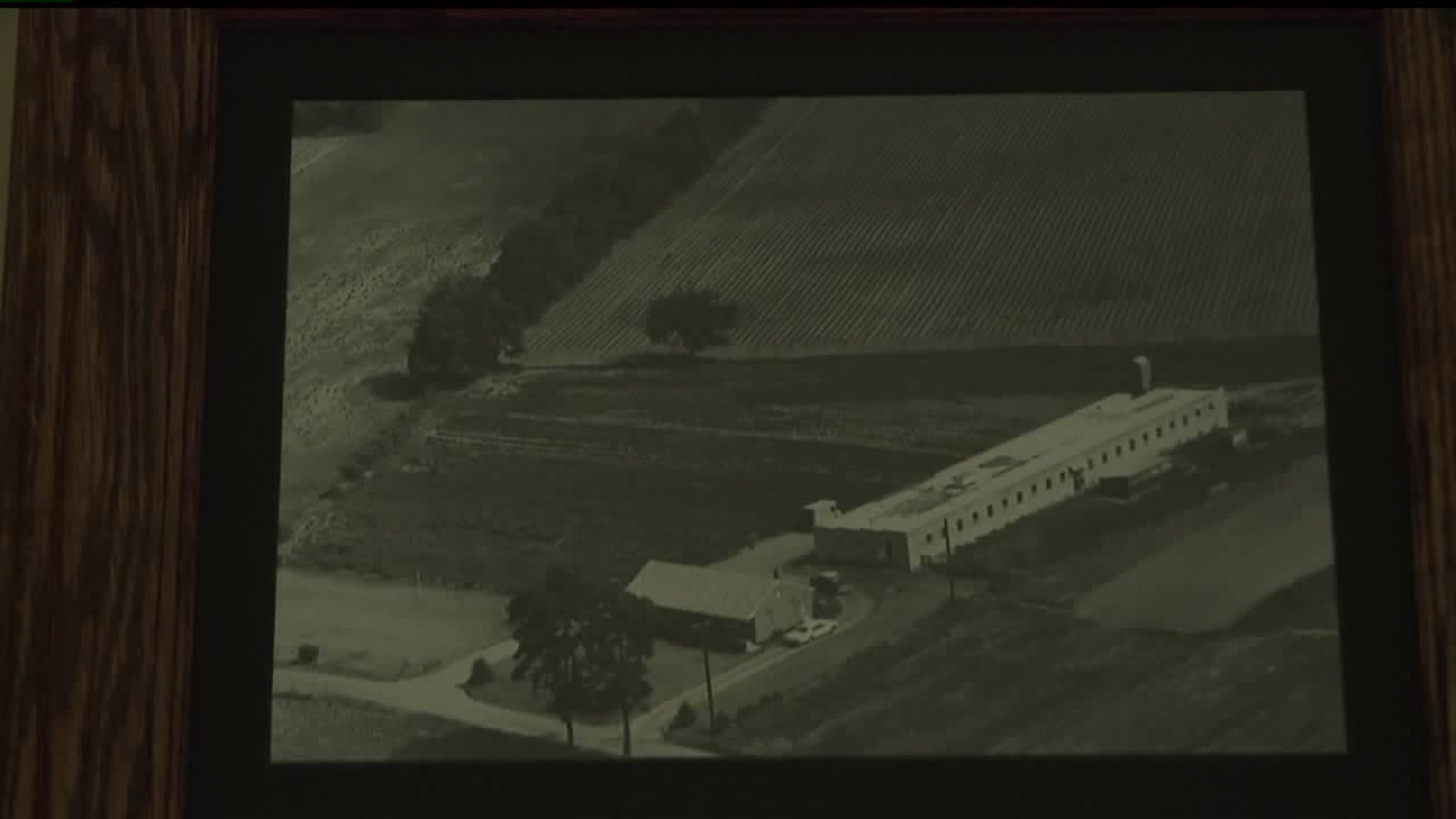 The beginning of Oak Grove Farms