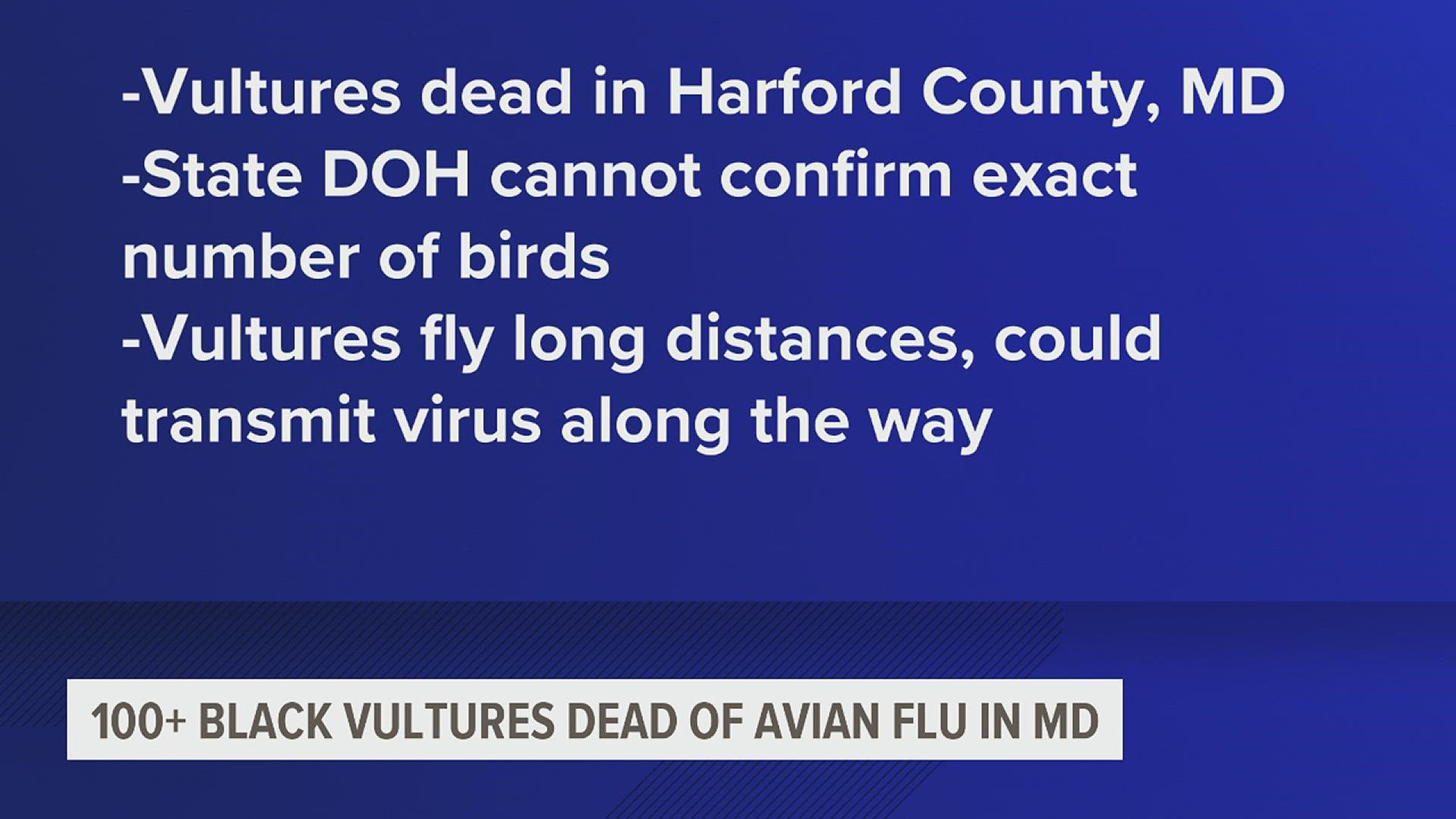 The birds were found in Maryland just south of Lancaster County, where multiple outbreaks of the flu have been reported in commercial flocks.