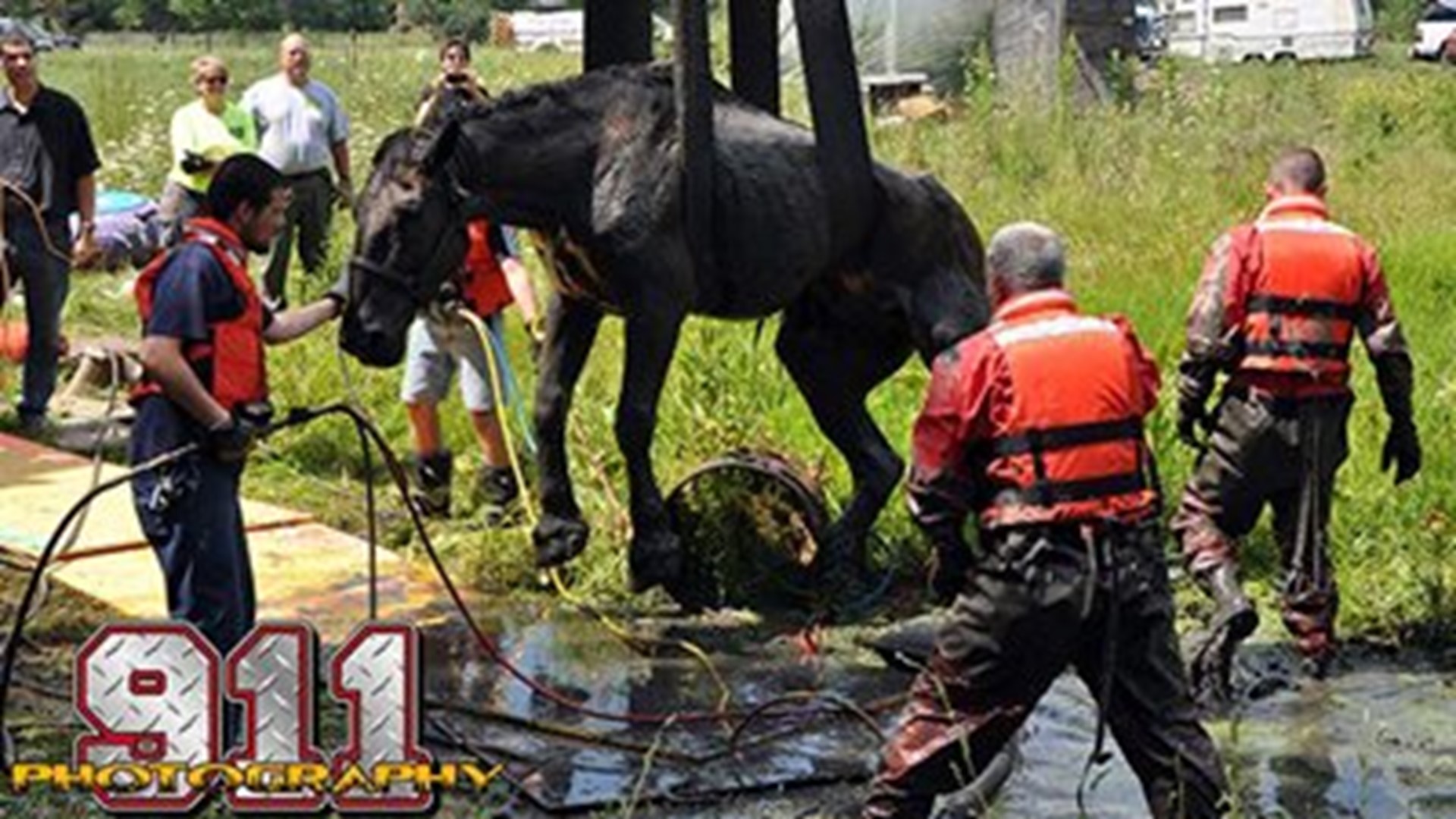 Horse stuck in neck deep mud pit rescued | fox43.com