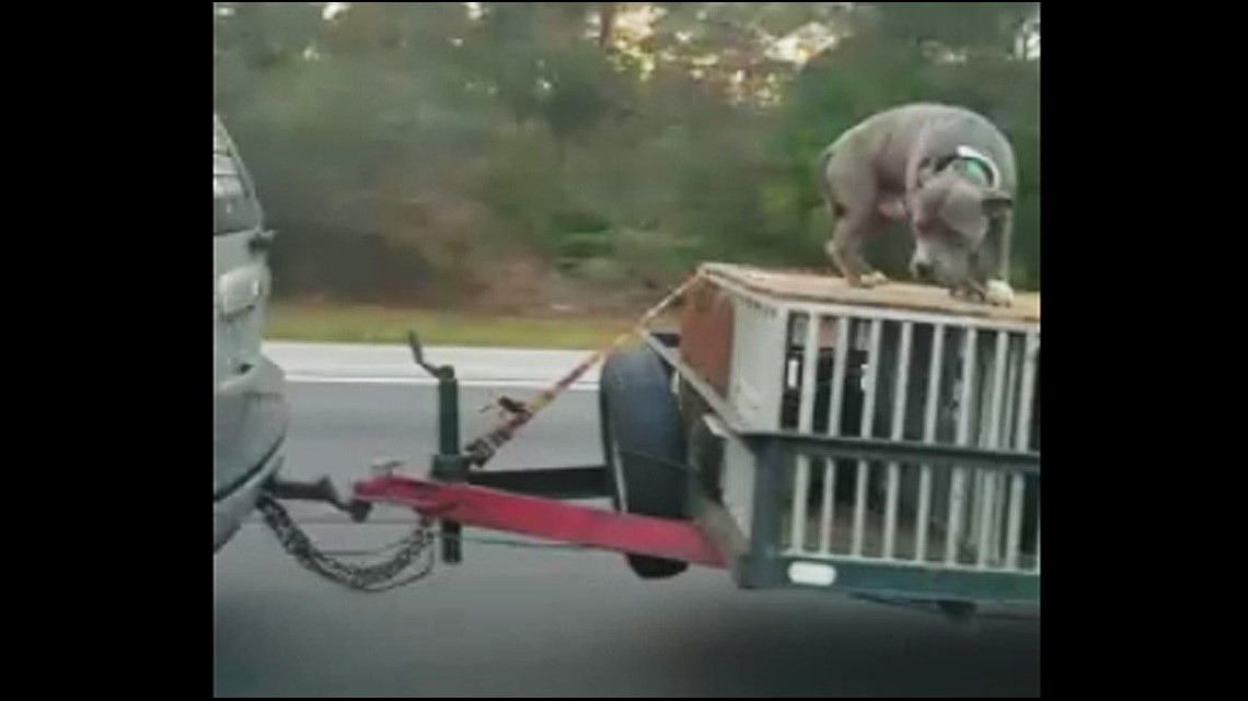 Video shows dog tied on top of crate being towed down highway | fox43.com