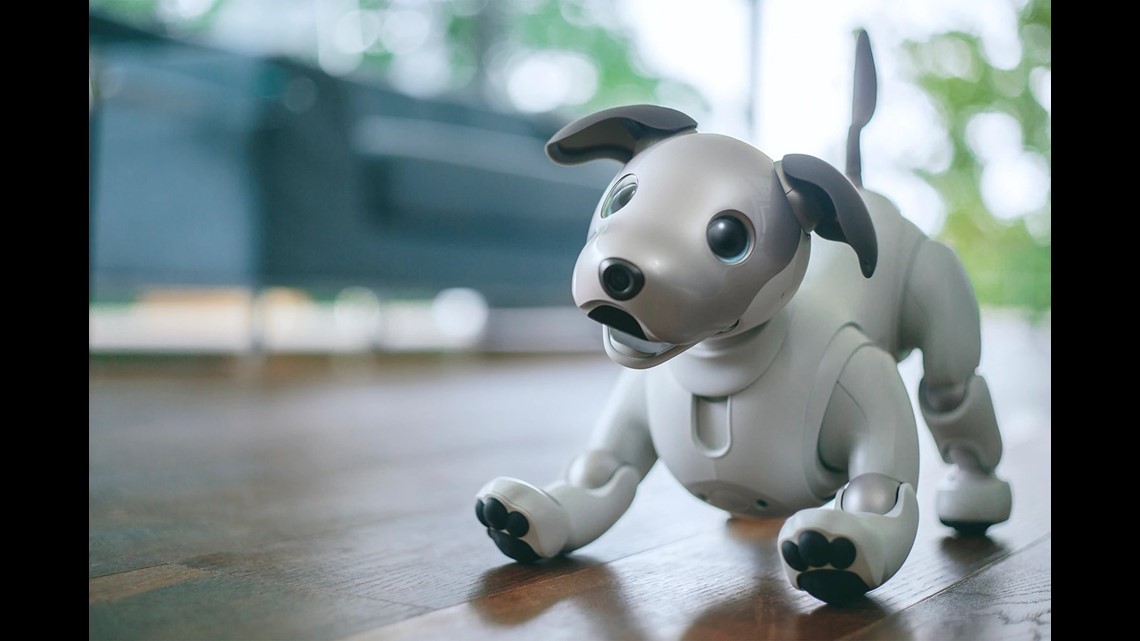 Sony Unveils A New Robotic Dog In Hopes Of Fetching New Customers ...