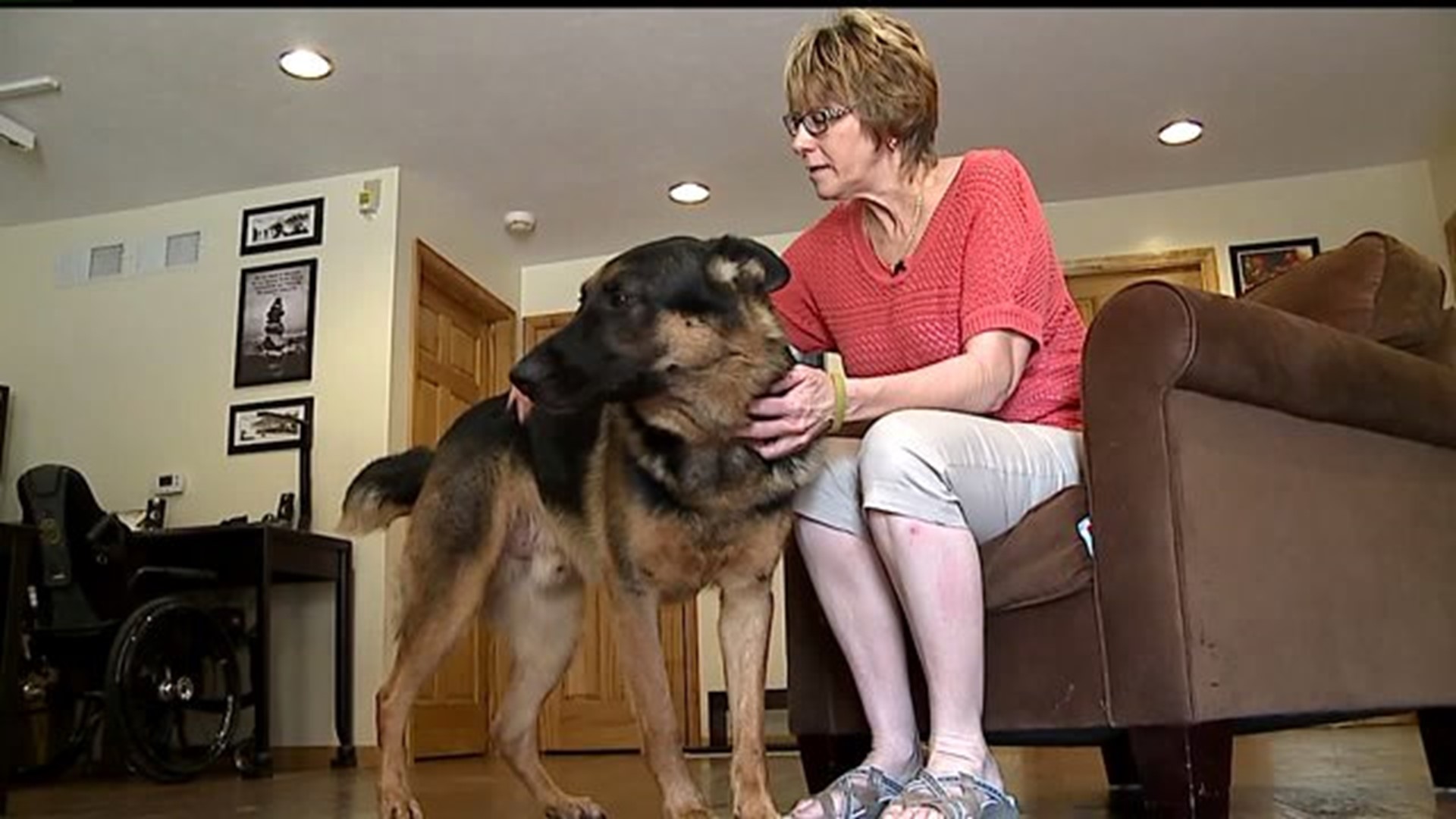 Fallen hero`s four-legged best friend and mom mourn together