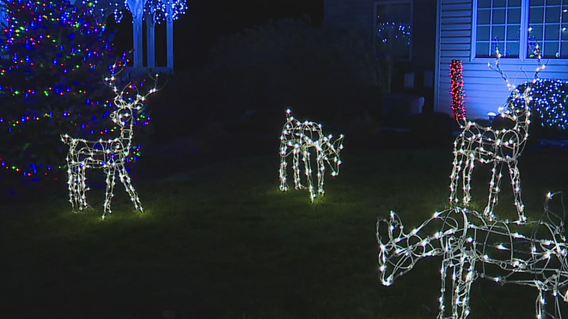 Shiloh Veterinary Hospital's annual holiday light show is up and running, and plans to delight anyone who stops by until the New Year.