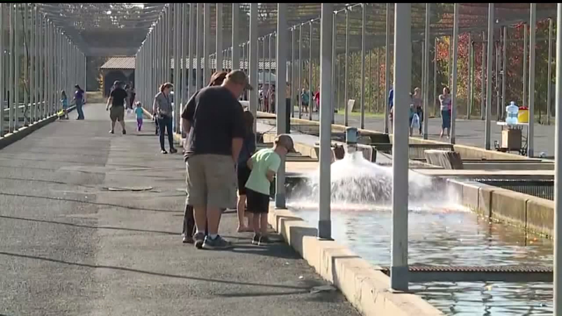 Cumberland co. hatchery hosts open house