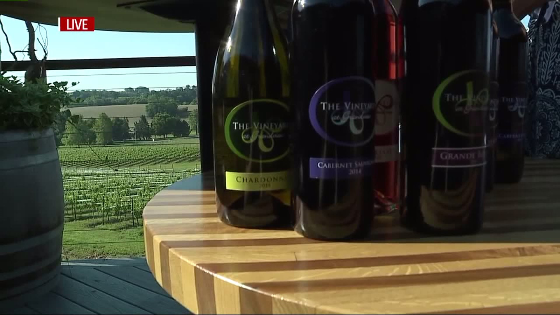 Wine tasting, music, food, and more at Wine By The Vine at the Vineyard at Grandview