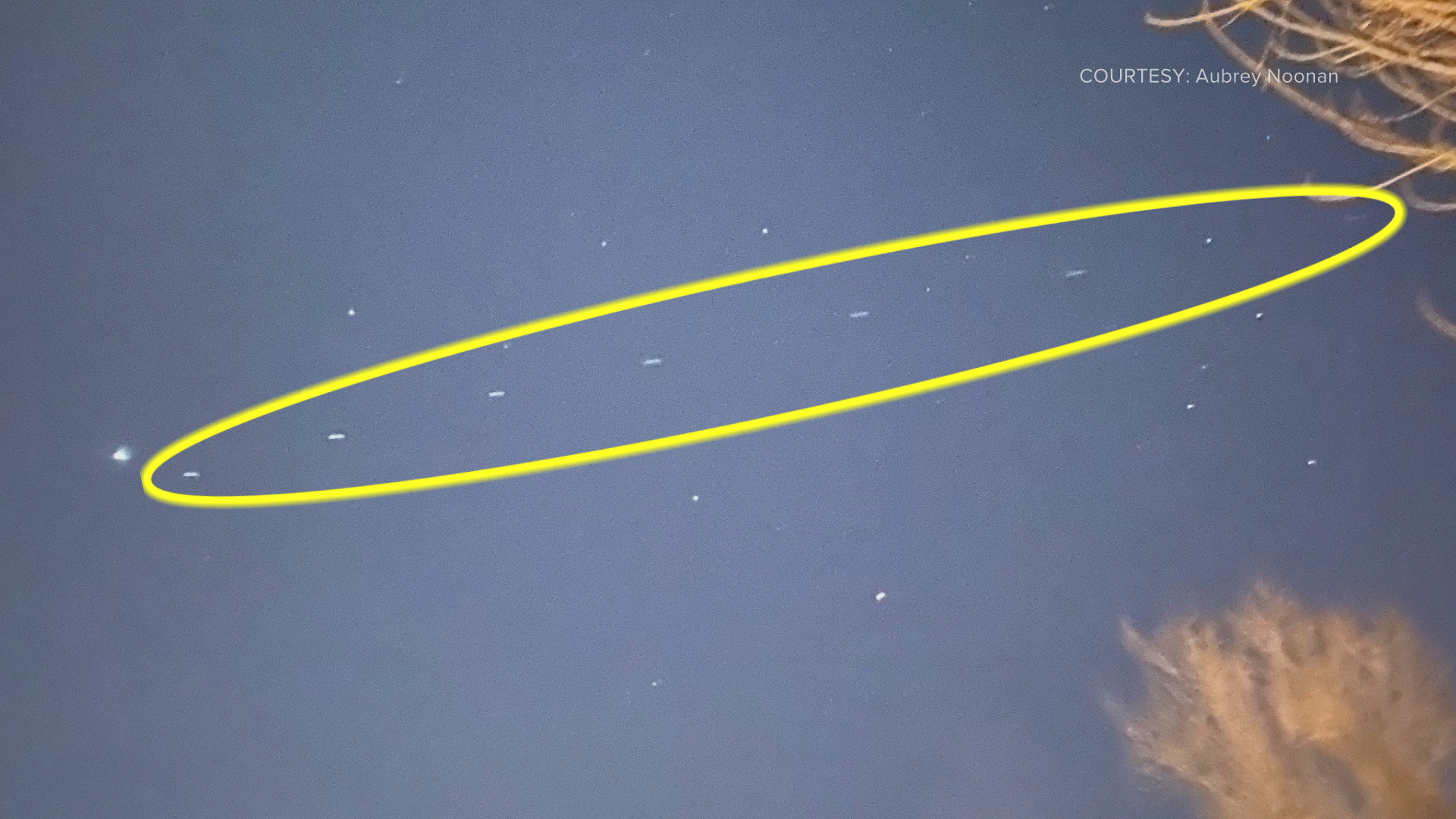 EarthSky  Starlink satellites can look like a plume or train of light