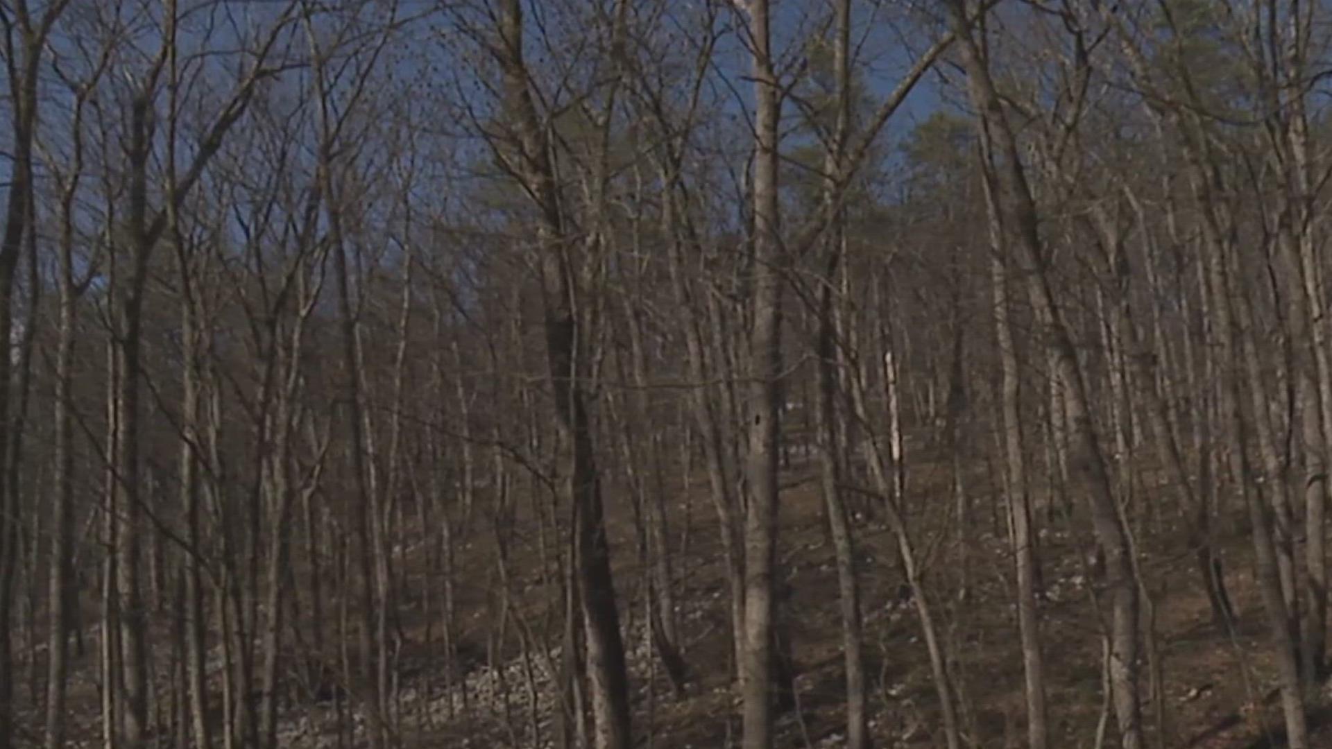 Reflecting on the Michaux State Forest fire one year later | fox43.com