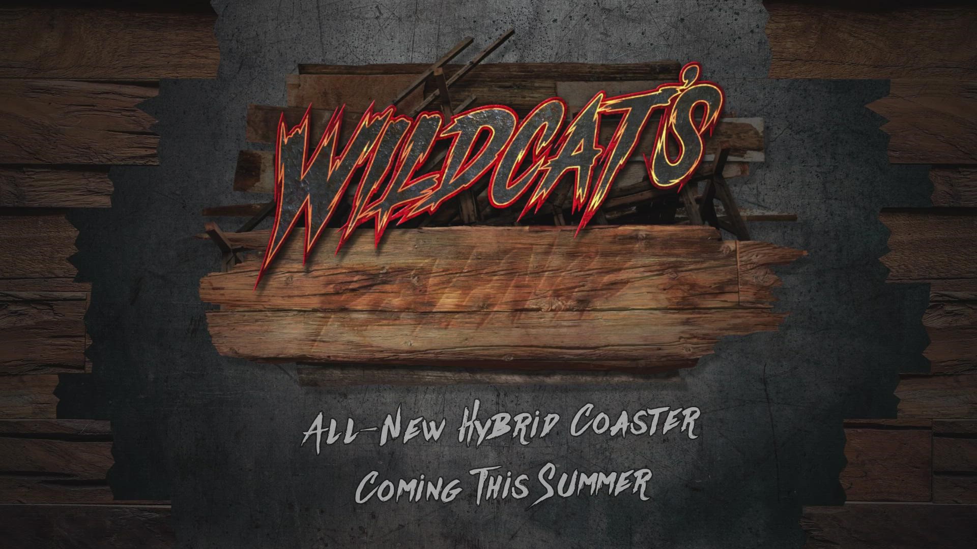 The park announced that Wildcat's Revenge, a new, wood and steel hybrid roller coaster, will open in the Midway area of the park next summer.