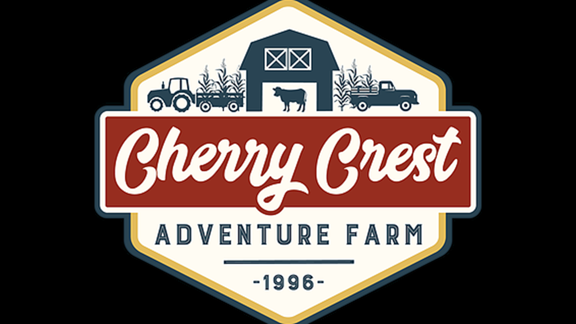 Meet Sterling and Cinnamon, two unique micro-miniature cows at Cherry Crest  Adventure Farm 
