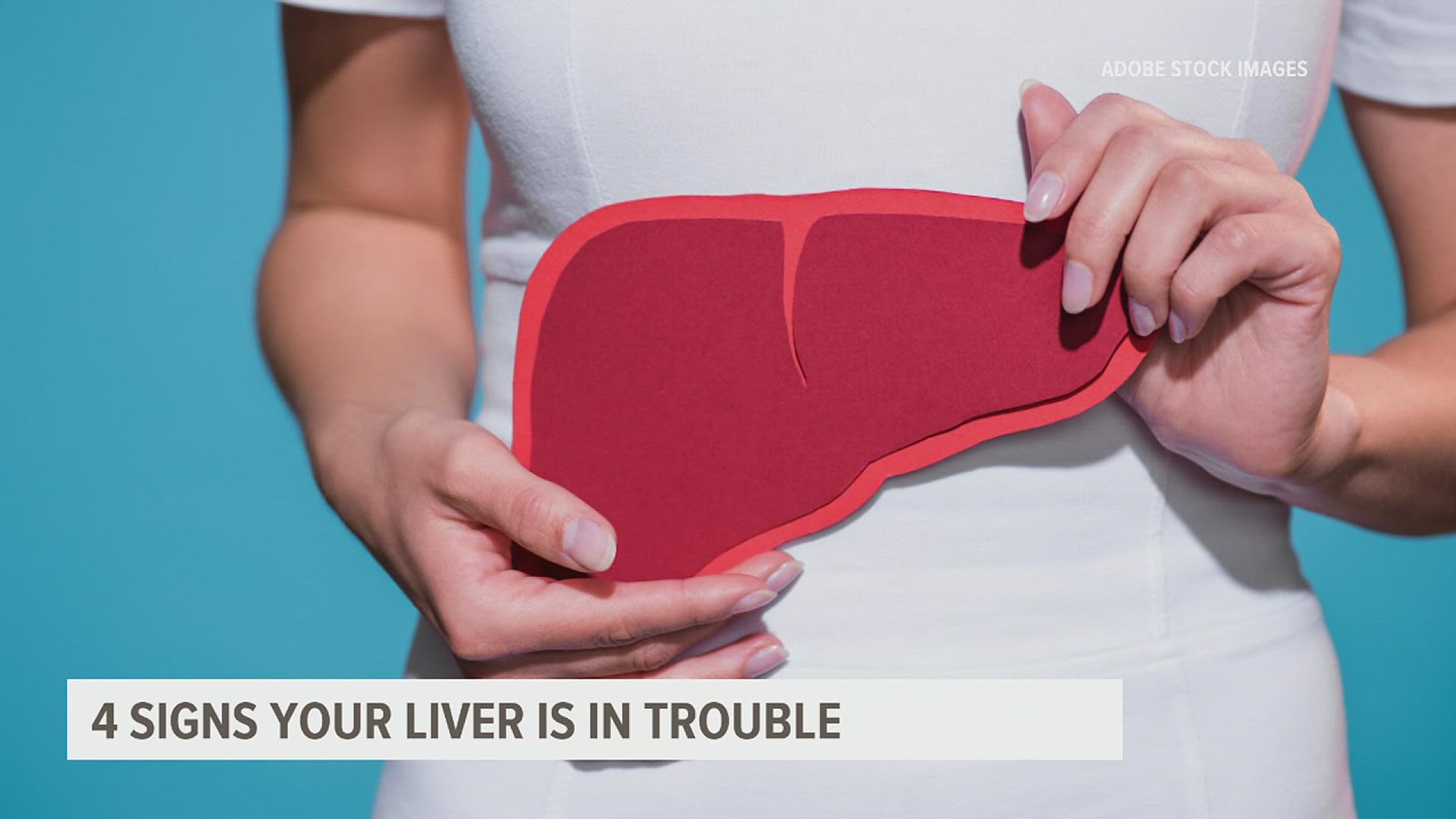 The liver is one of the toughest organs in the body and a healthy one is critical for your overall health.