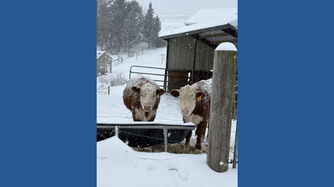 PHOTOS | Major winter storm hits Central Pennsylvania
