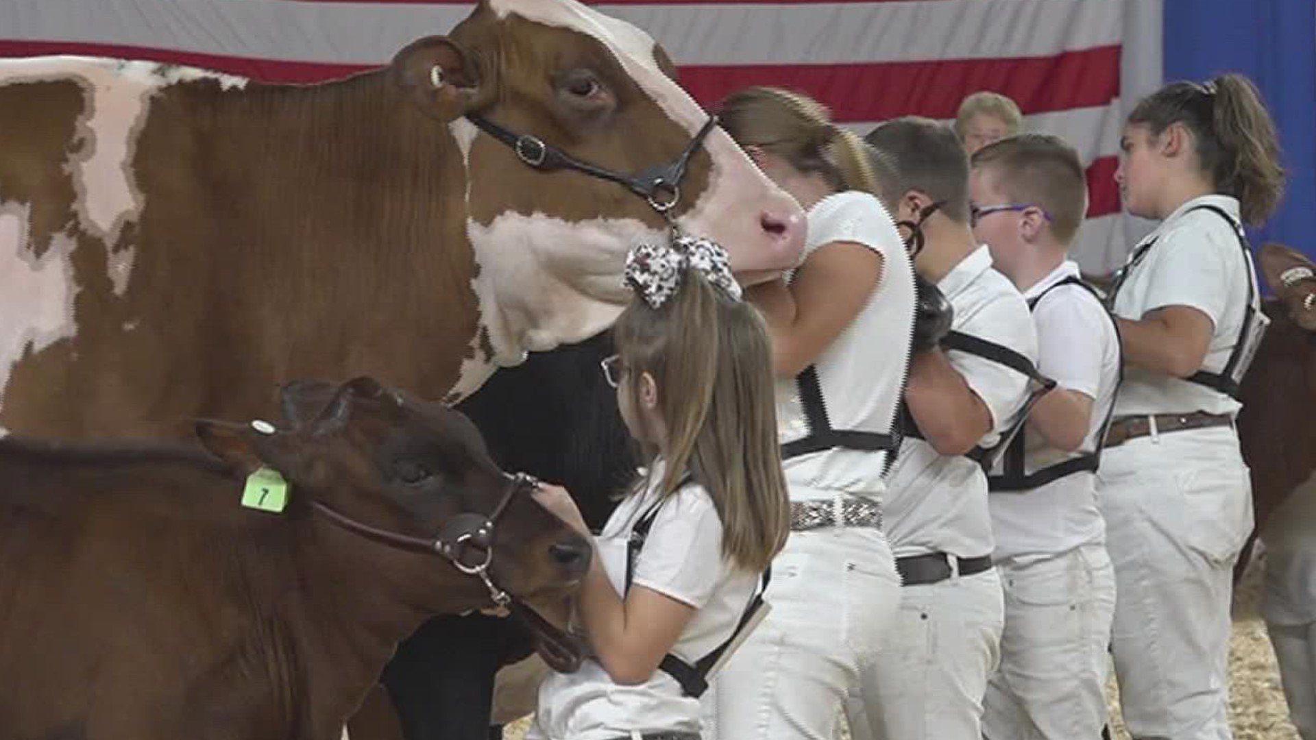 The four day show started on Sunday, highlighting the U.S. dairy industry.