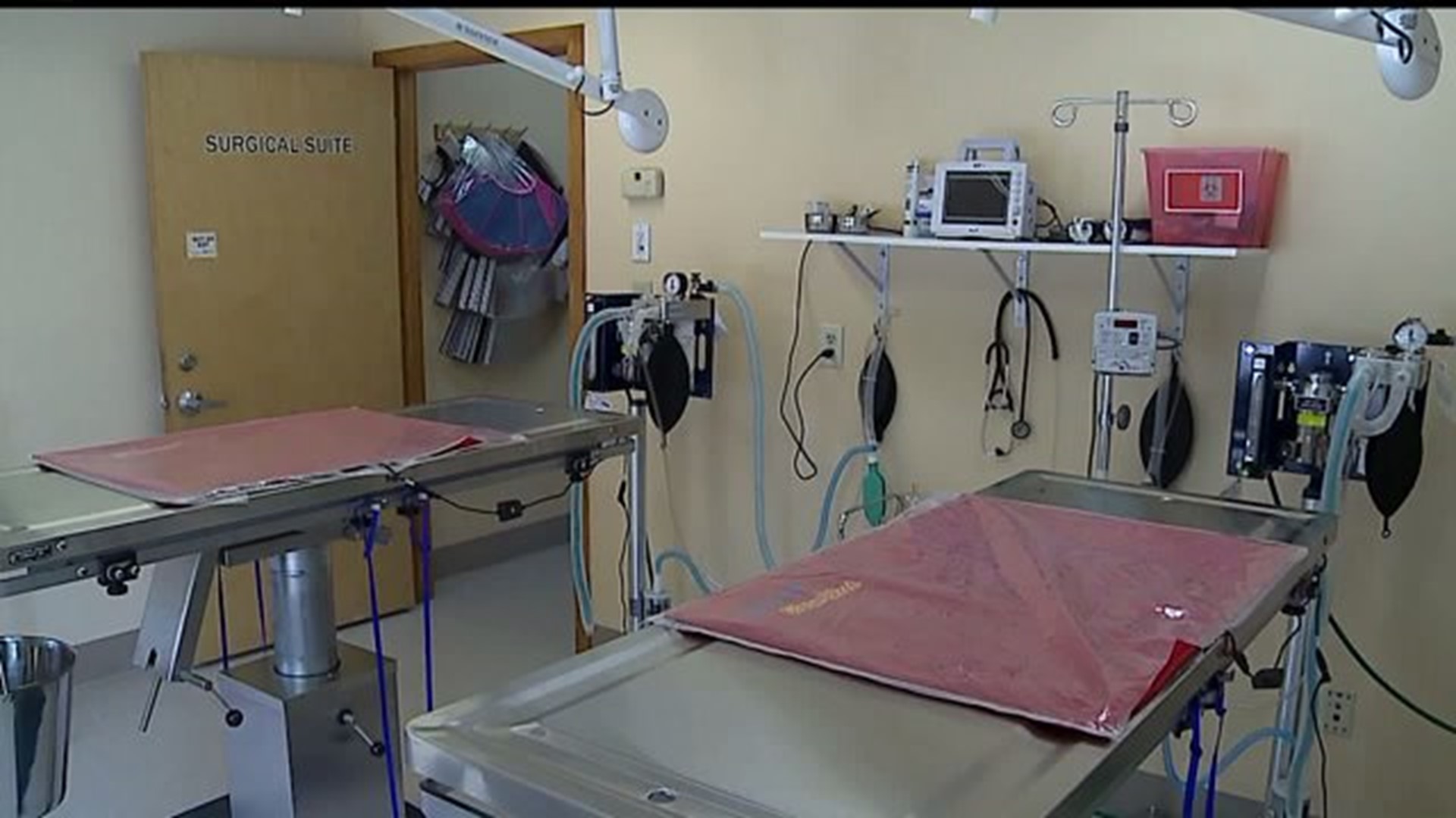 New animal hospital in Lancaster County helps low income families take care of pets