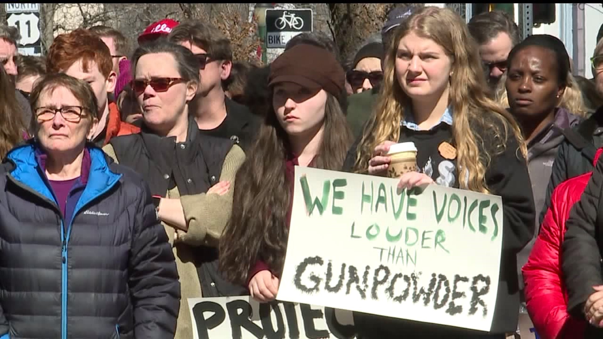 Carlisle sees opposing rallies on gun control