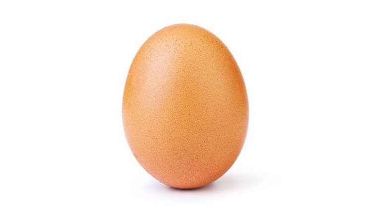 How & Why The World Record Egg Is The Most Popular Photo Ever