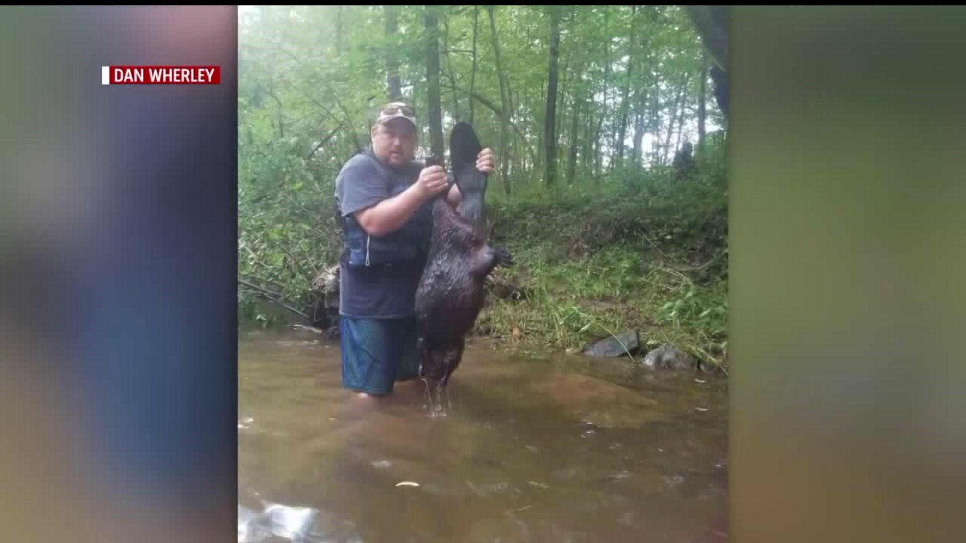 Rabid beaver attacks father and daughter kayaking in Pennsylvania, father films terrifying encounter