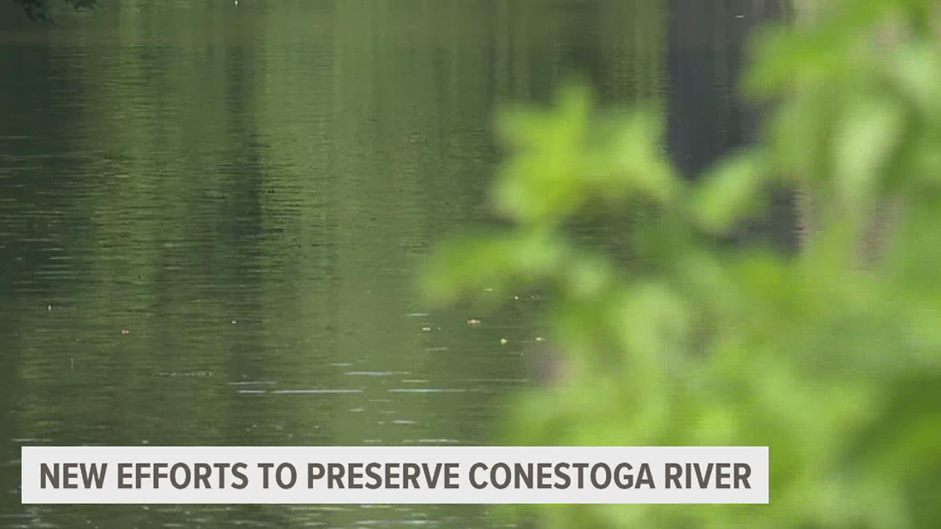 Group leaders from both organizations say improving the health of the Conestoga River will help improve other waterways.