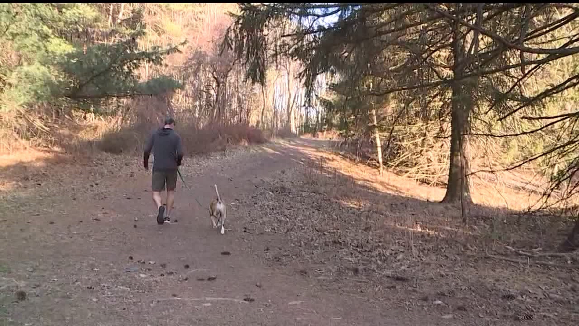 Dauphin County envisions future of 411-acre Detweiler Park | fox43.com