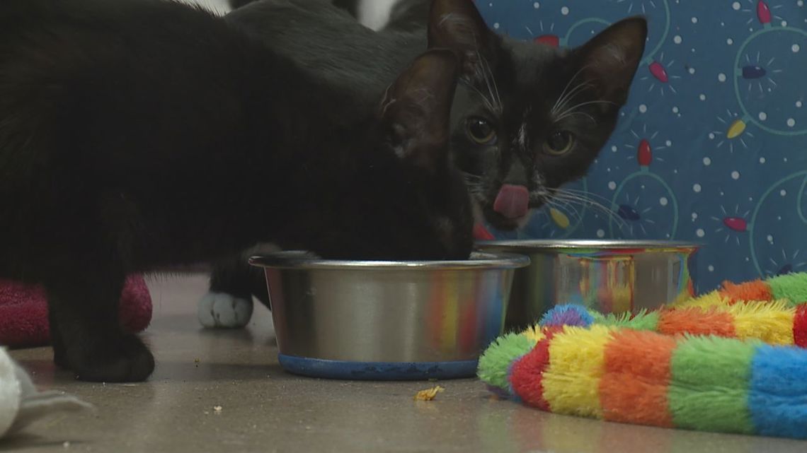 a0144ed2 290c 4e74 9da1