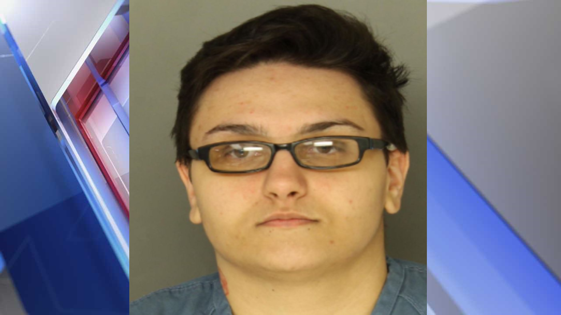 Lancaster woman will serve 612 years in prison after pleading guilty