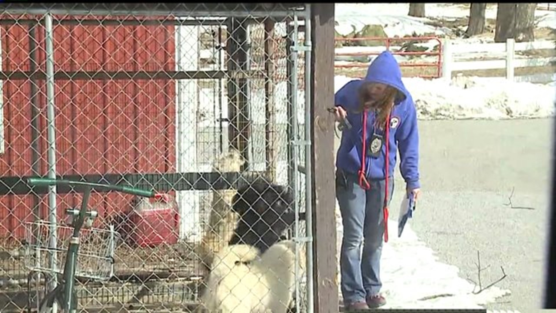 How humane officers investigate animals left out in the cold in Lancaster County