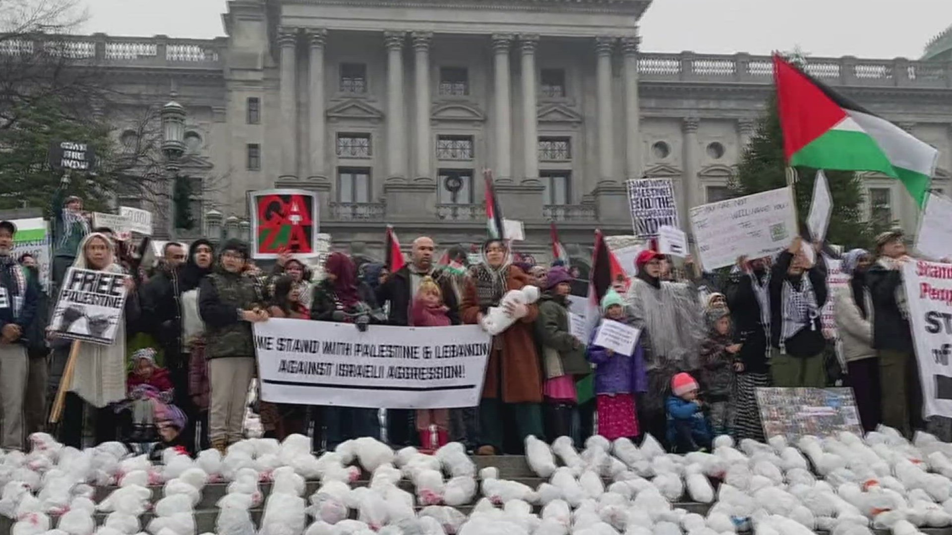 Demonstrators rally to demand state representatives support ceasefire efforts in the Israel-Hamas war.