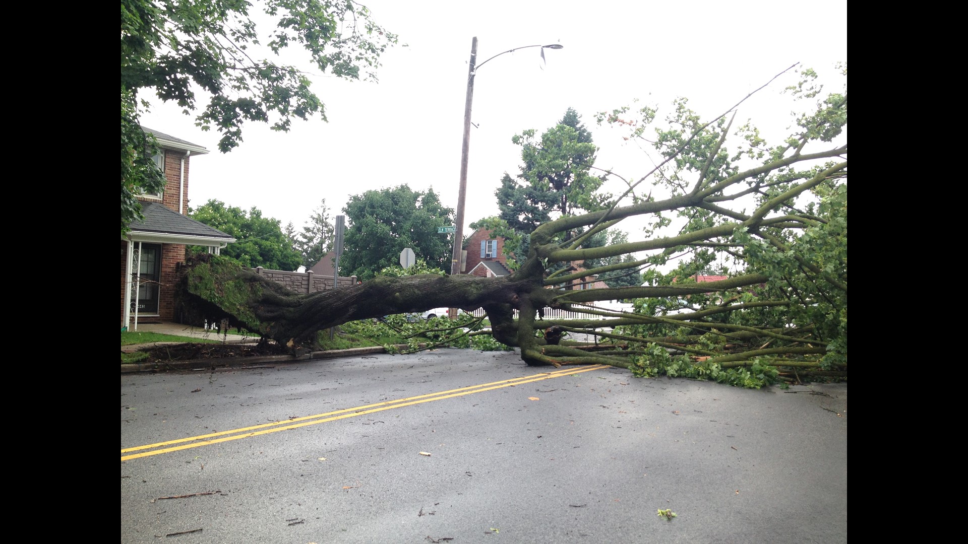 Storm Brings Down Trees, Causes Power Outages | Fox43.com