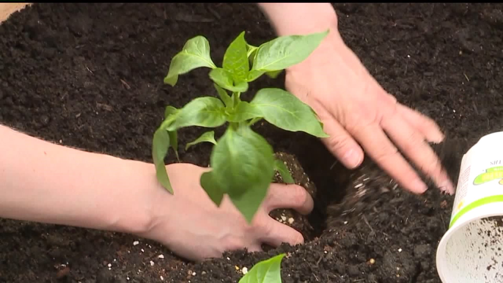 Volunteers build community garden in Lancaster