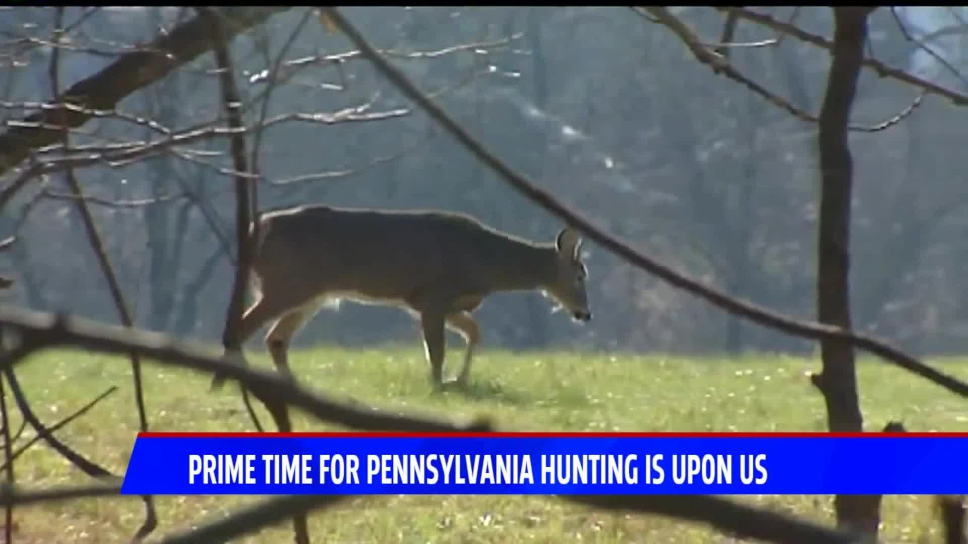 Prime Time for Pennsylvania Hunting is Upon Us
