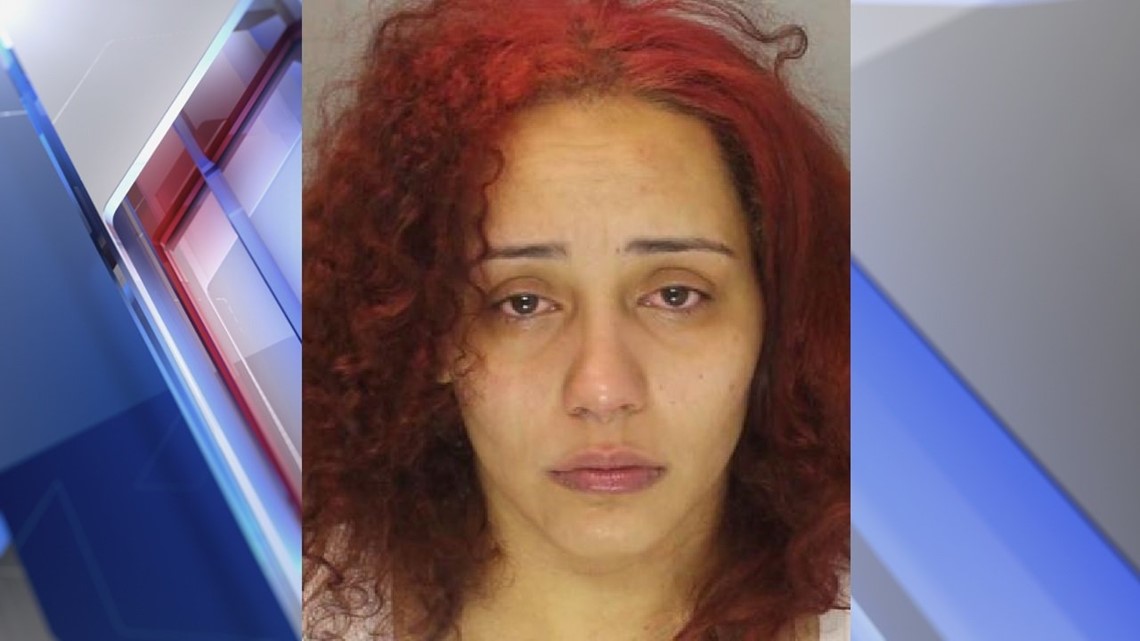 Steelton woman accused of punching Harrisburg police officer while ...