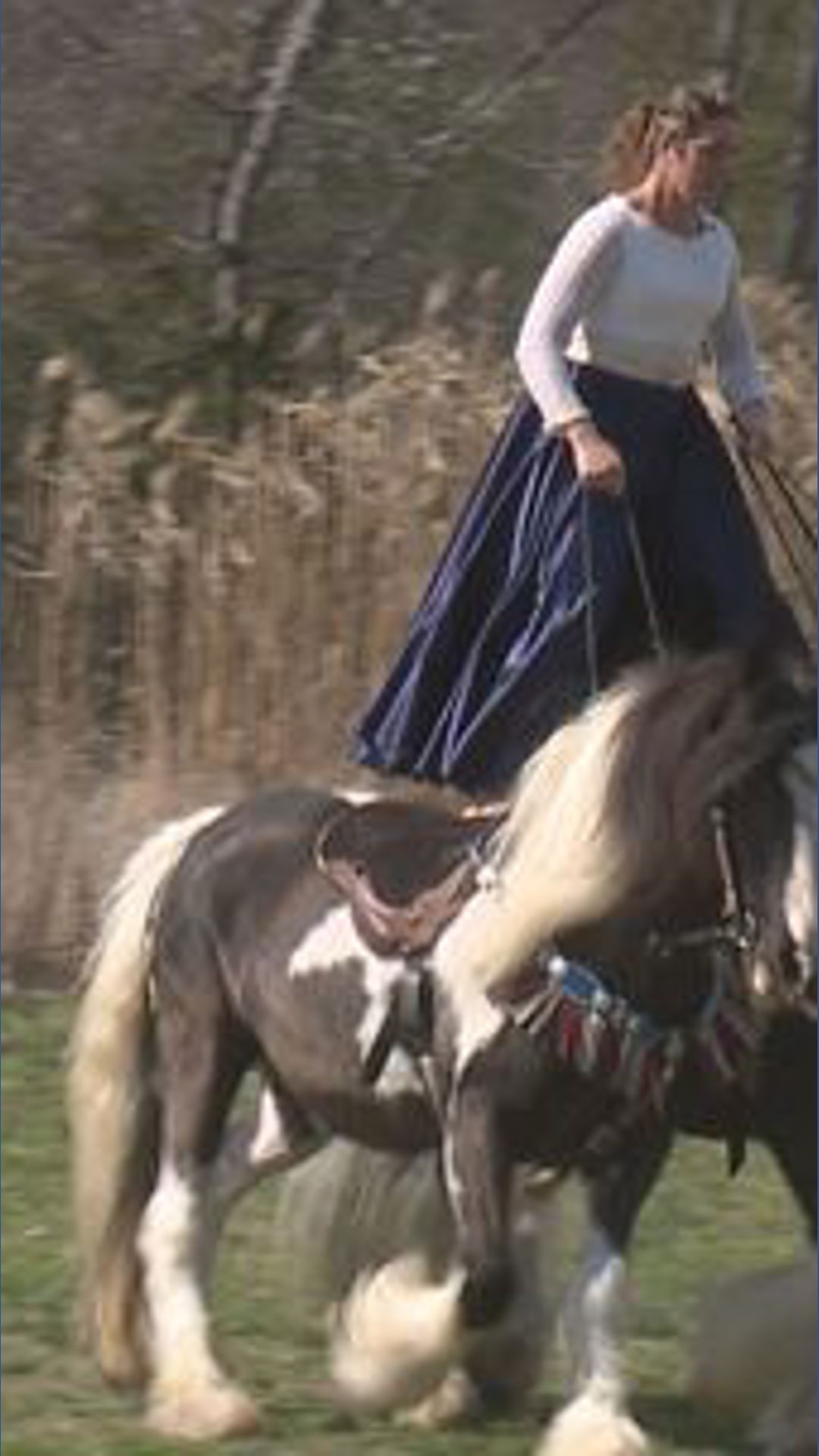 Narasha Merback Perry County trainer finishes last at national horse competition, calls ...