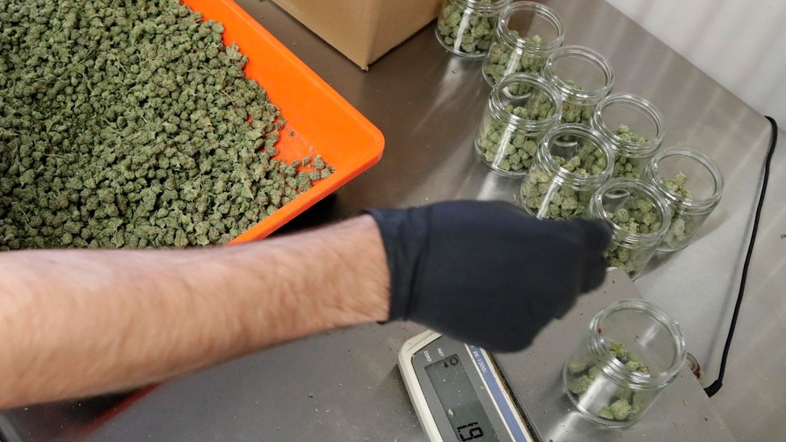 Recreational marijuana debate ramps up in Pennsylvania - Vimarsana News