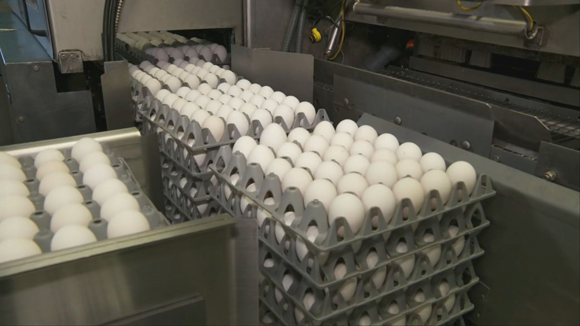 USDA data shows egg prices are on the decline, but with the ongoing threats of avian flu and inflation, how low they'll go is still unknown.