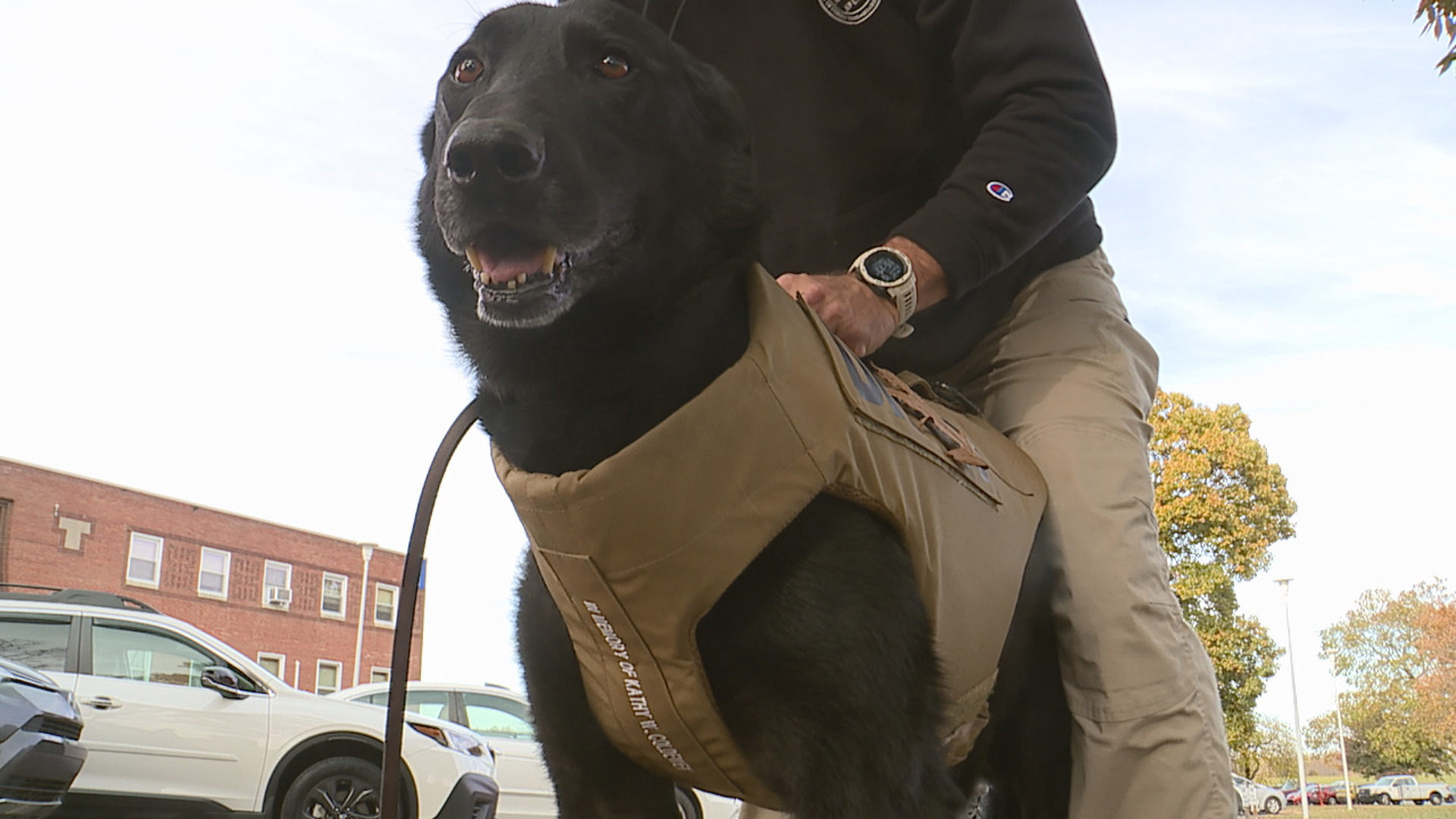 The donated armor comes from the non-profit organization Vested Interest in K9s Inc. The vests were embroidered with the sentiment "In memory of Kathy W. Coldewey."