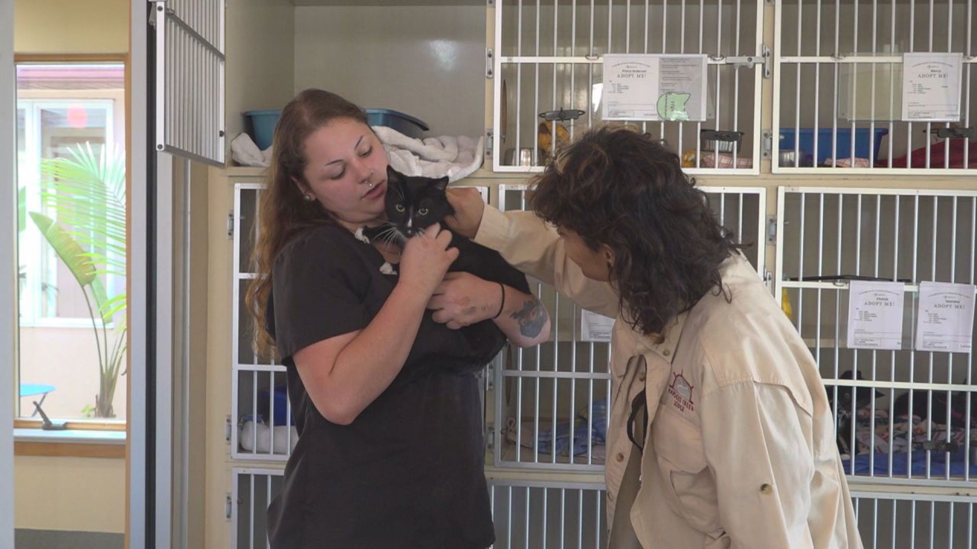 Humane Pennsylvania is waiving adoption fees and offering free animal care packages for pets over 8 years old.