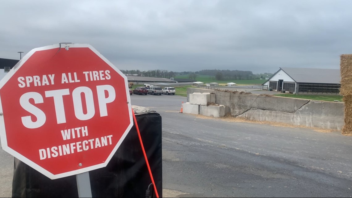 Avian flu cases reported again in Lancaster