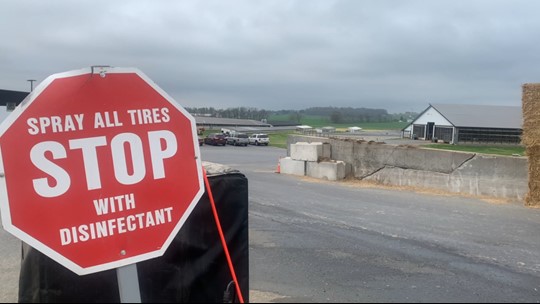 Avian flu outbreaks found at two Lancaster County poultry farms in last ...