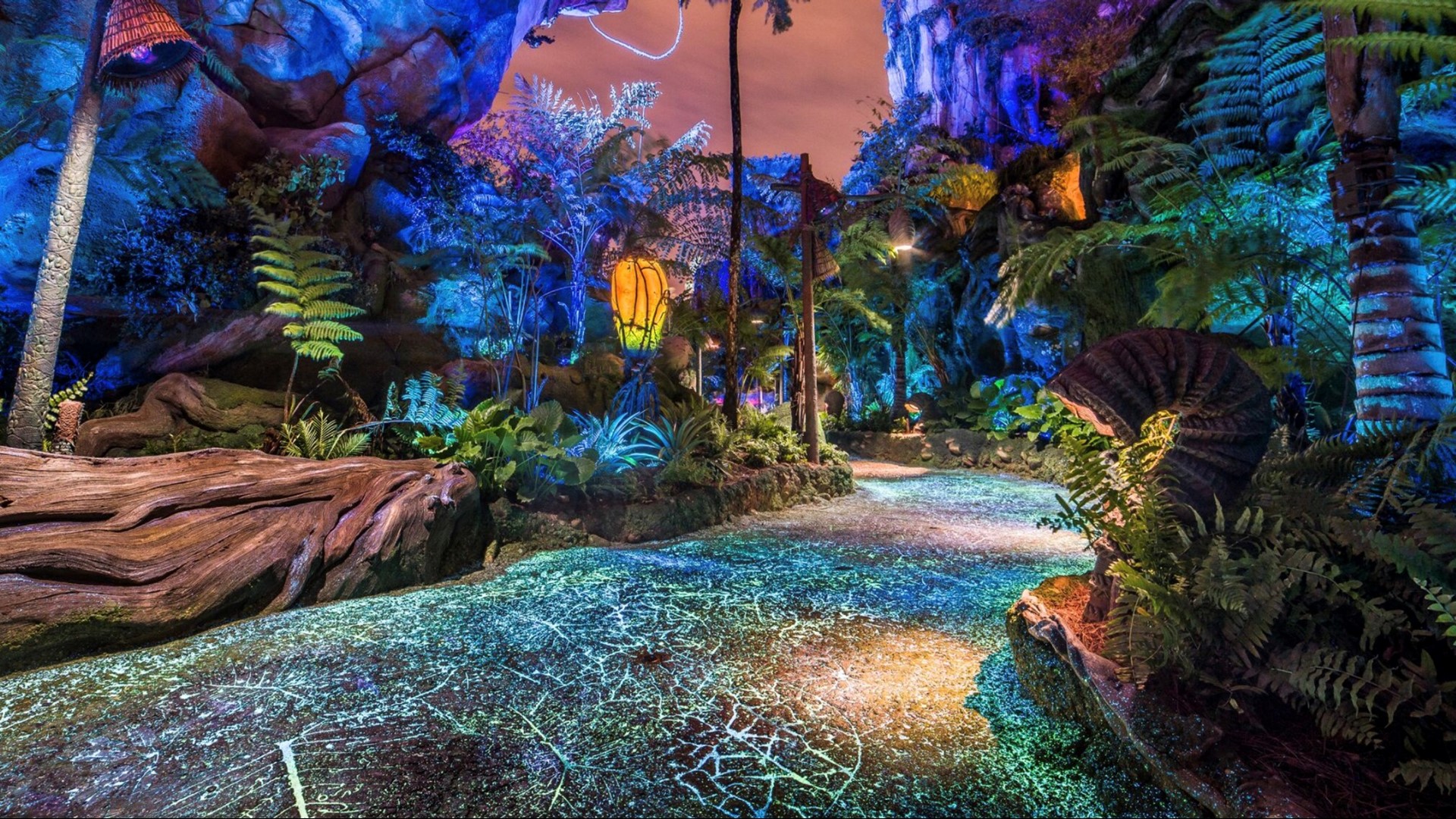 13 stunning photos of Disney’s ‘Pandora: The World of Avatar’ at night ...