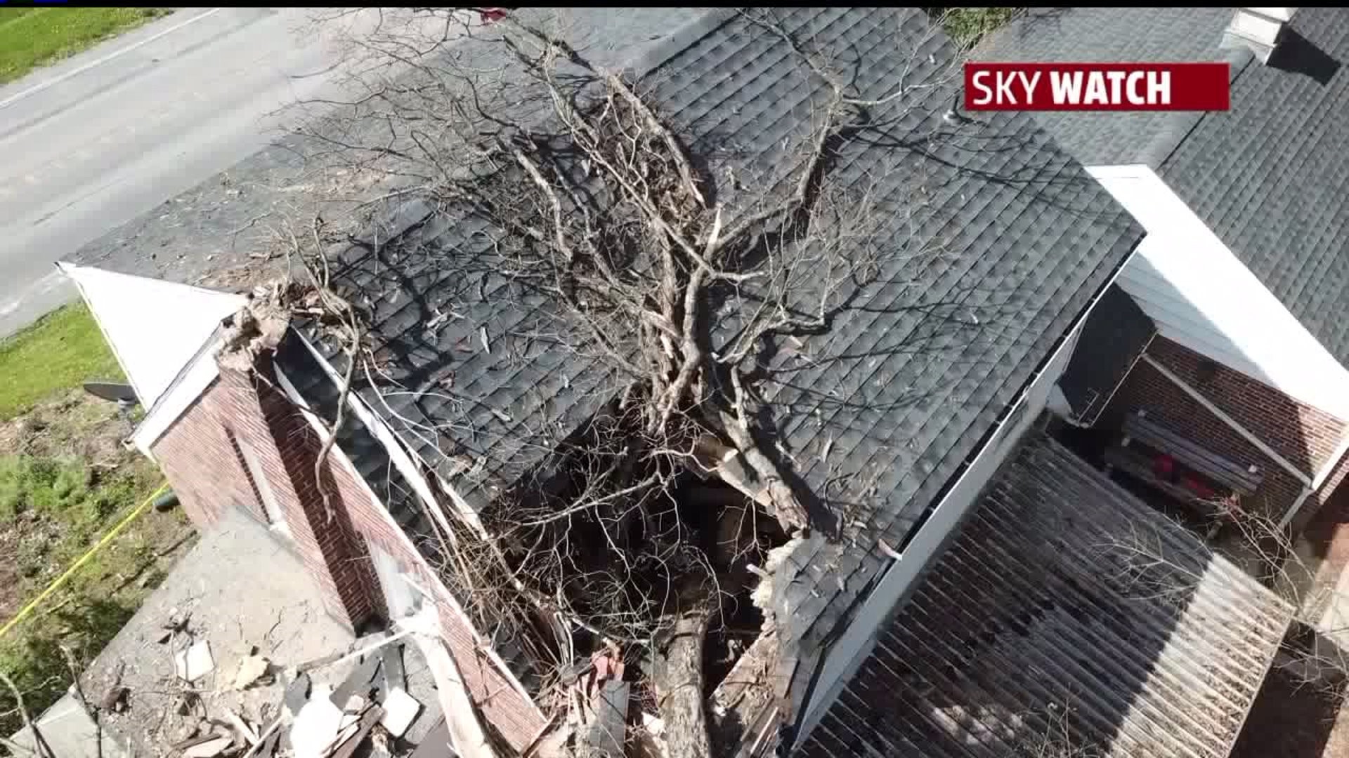 York Township tree falls on house