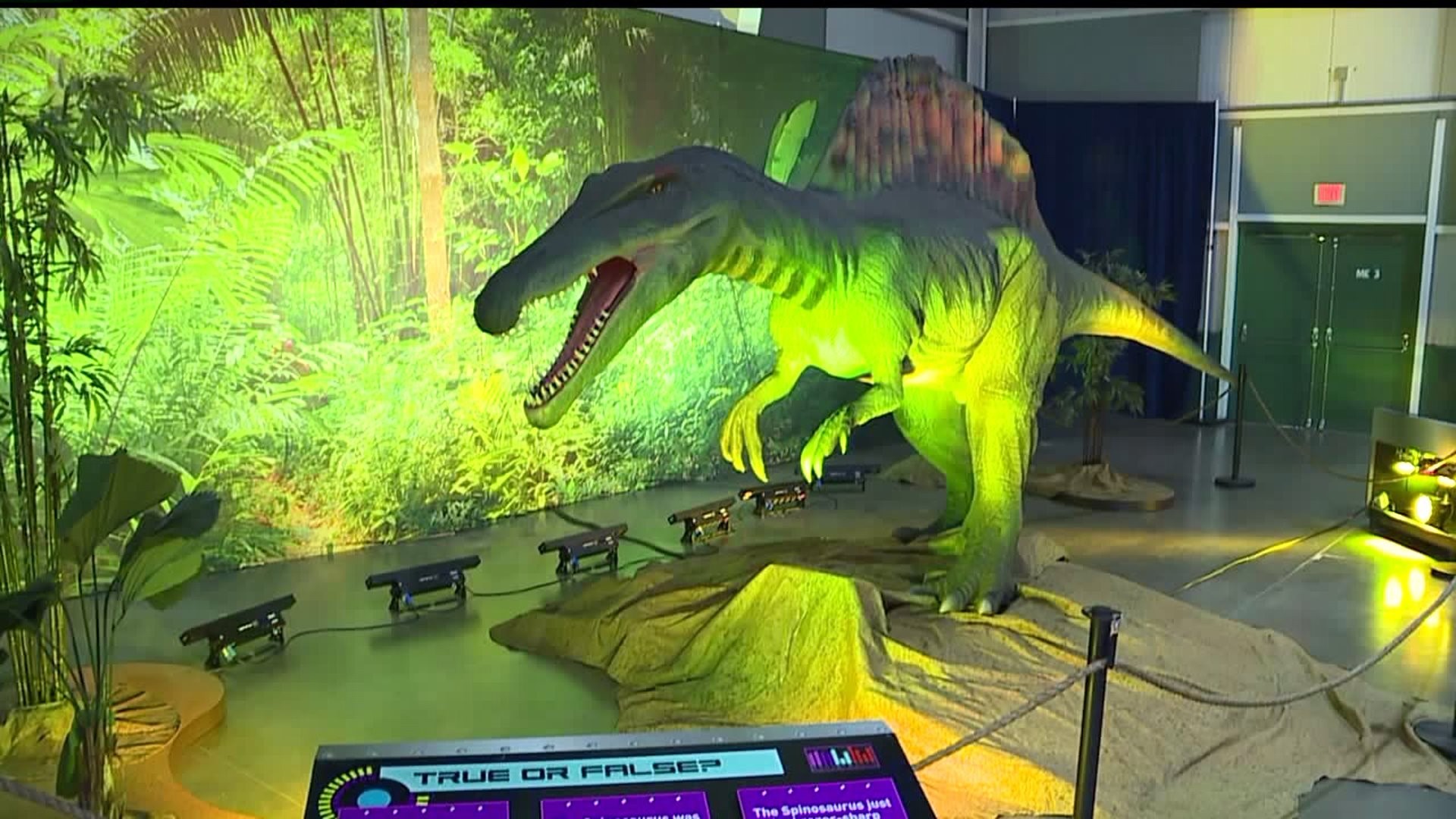 mosh dinosaur exhibit 2020