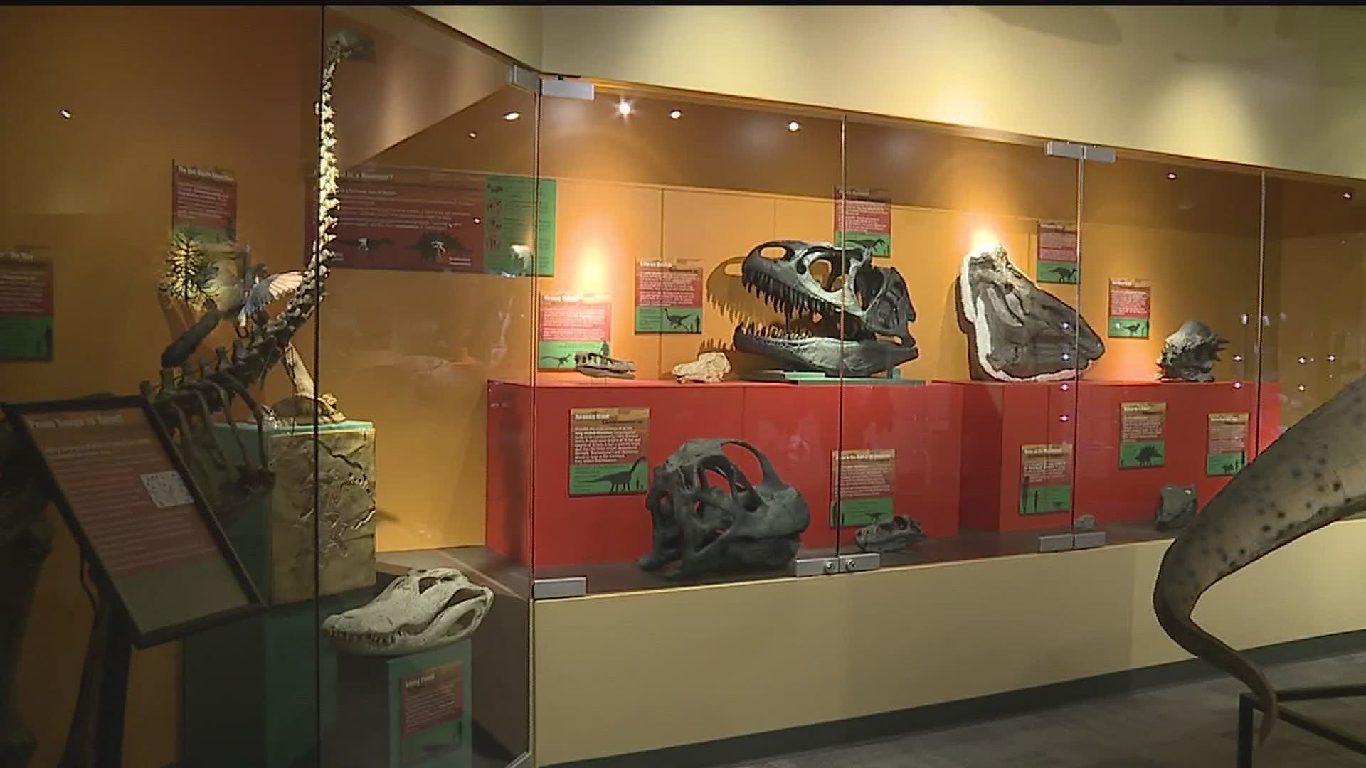 North Museum of Nature and Science launches new program with focus on STEM and education.