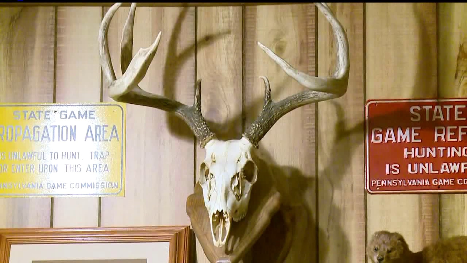 Unlawful deer skull causes controversy