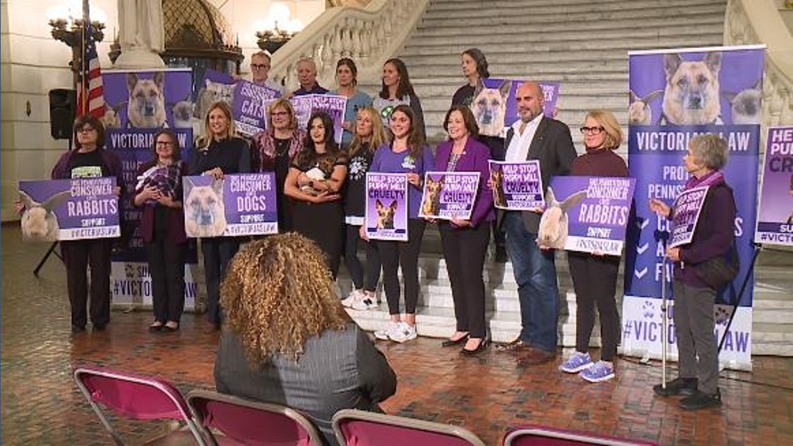 Advocates, state lawmakers rally to support 'Victoria’s Law'