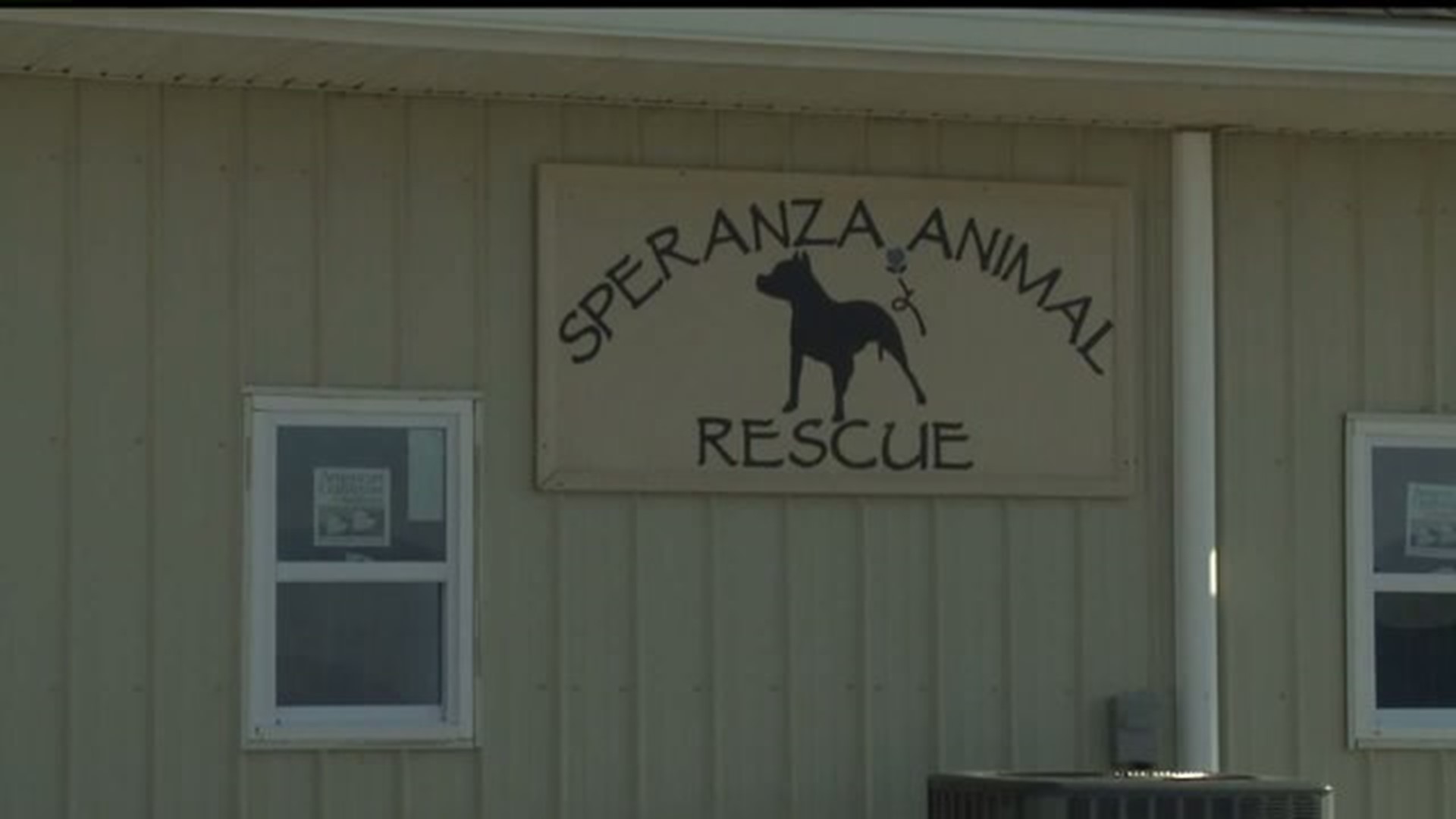 Neighbors fear pit bulls from animal rescue