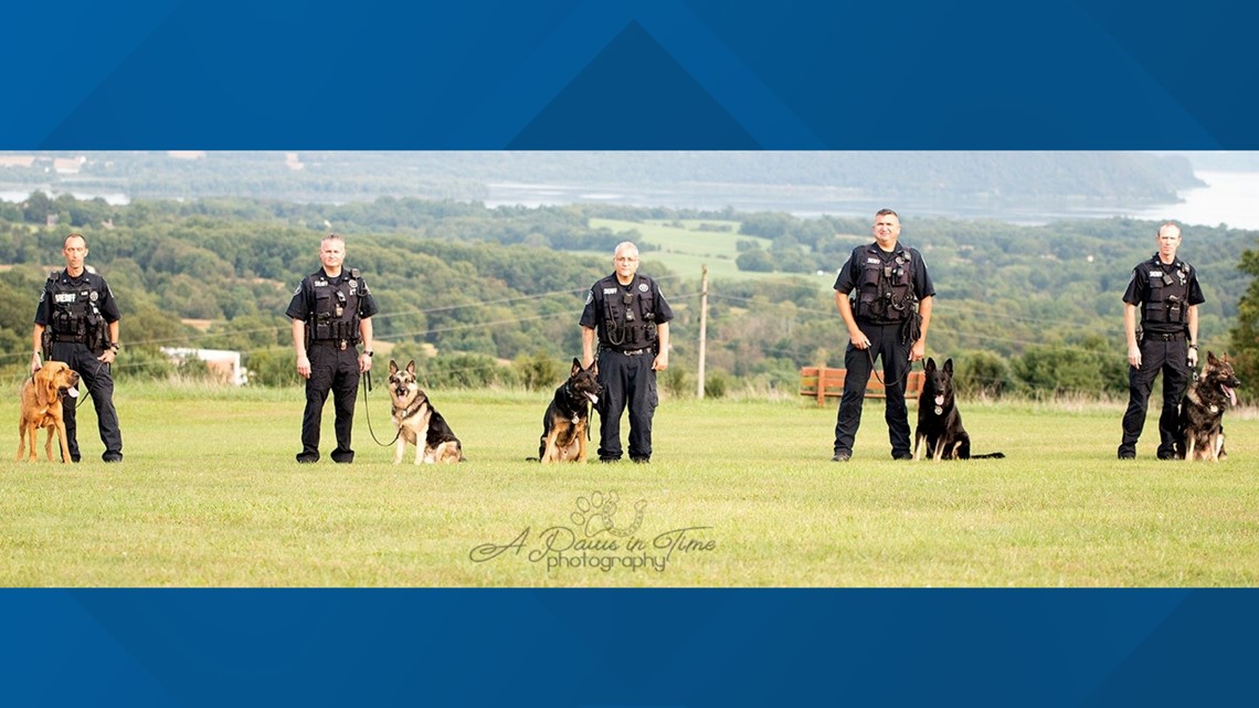 York County Sherrif's Office wants public's help naming new K9 - Vimarsana News