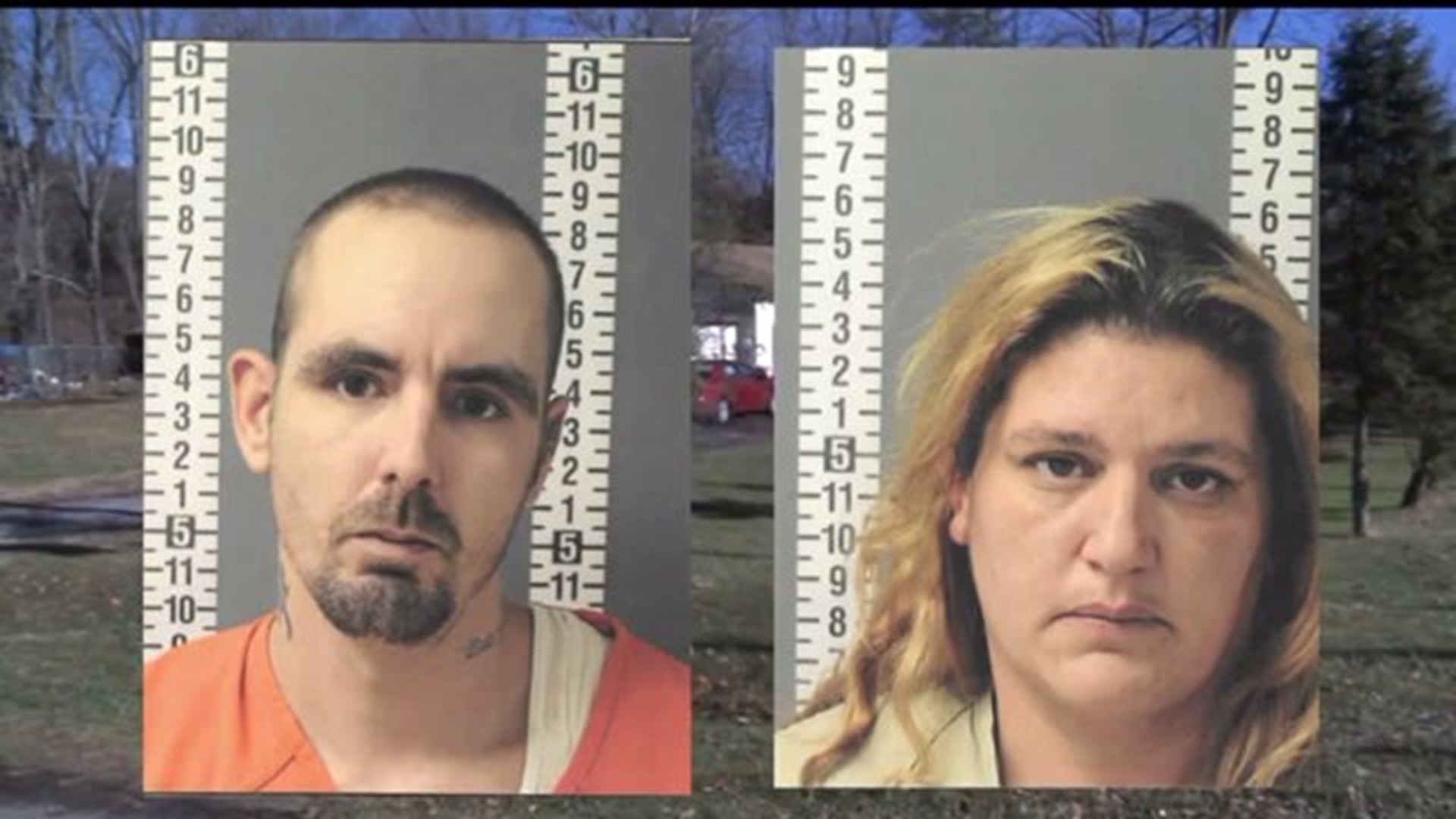 Halifax parents charged with child abuse: How did Dauphin Co. CYS respond?