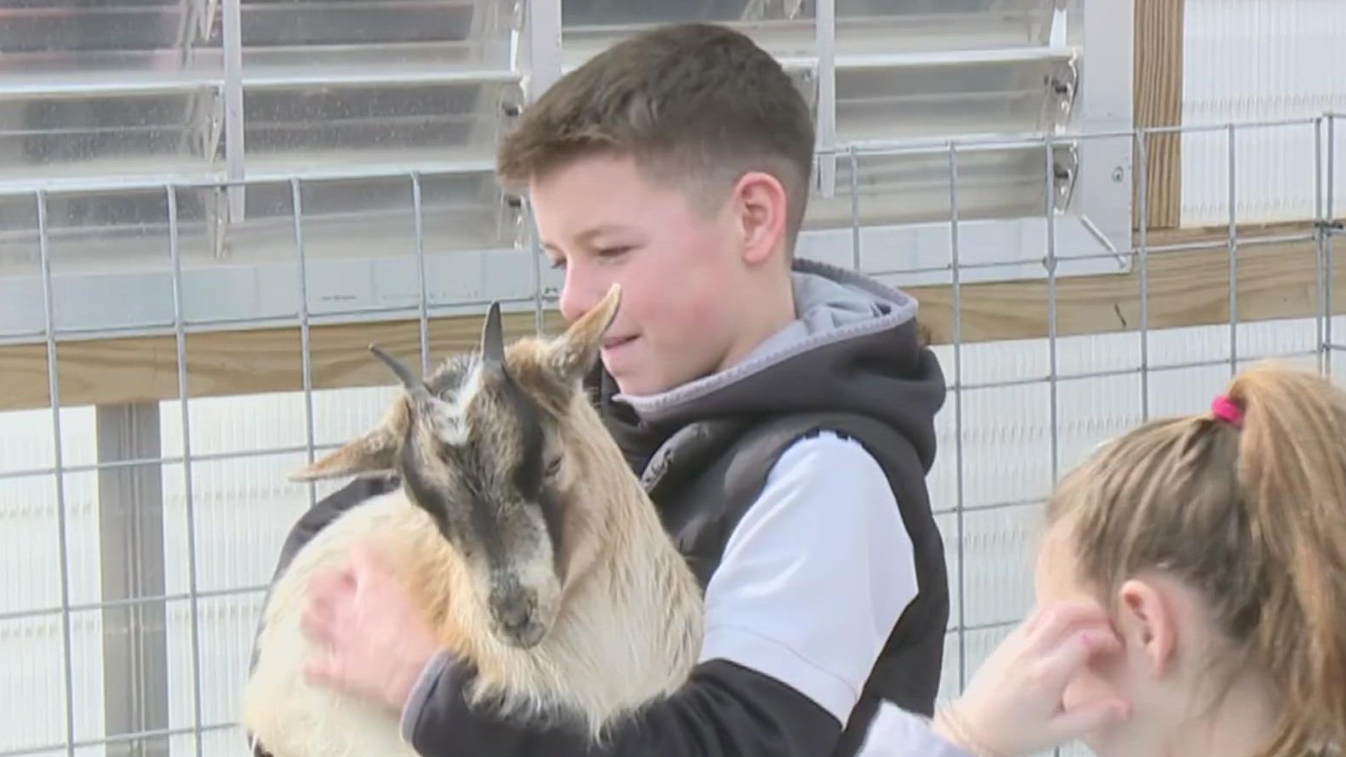 The event allows visitors to enjoy a hot beverage, and get to know some of Creekside Farm's goats.